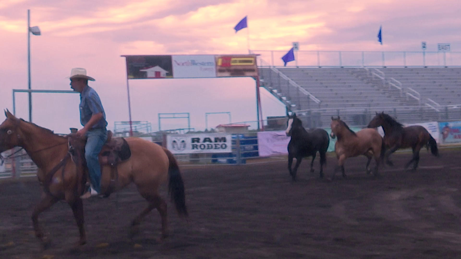 Broncs and bulls from C5 Rodeo power Last Chance Stampede - Vimarsana News