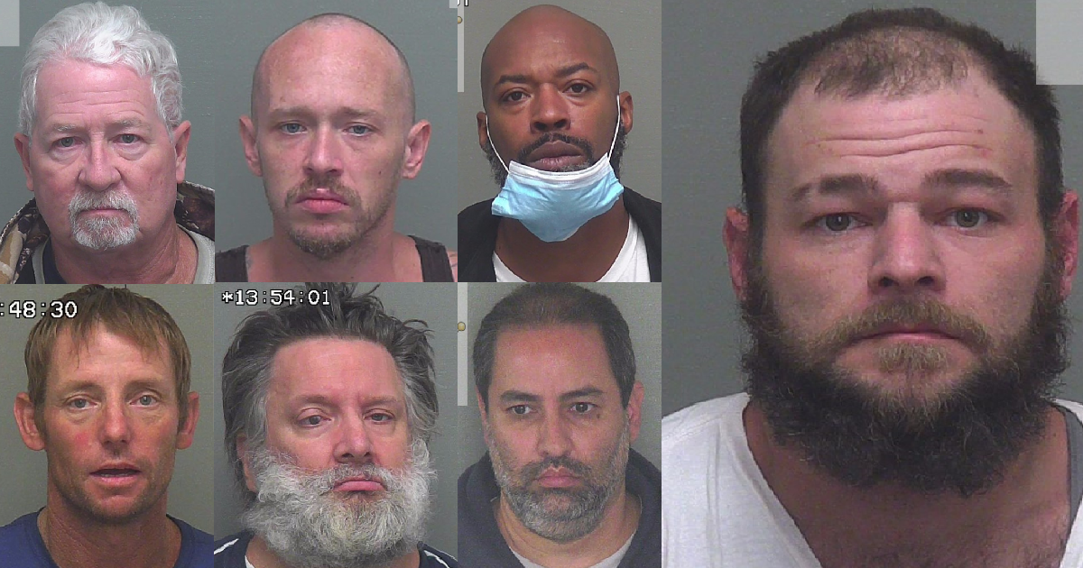 Wakulla County Sherriff's Office makes 7 sex offender arrests in 'Operation Holiday Check' - Vimarsana News