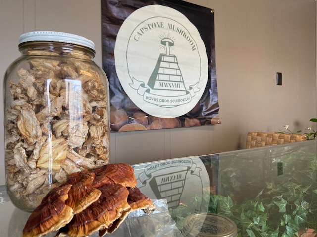 We're Open: Explore the fascinating world of fungi at Capstone Mushroom Farm - Vimarsana News