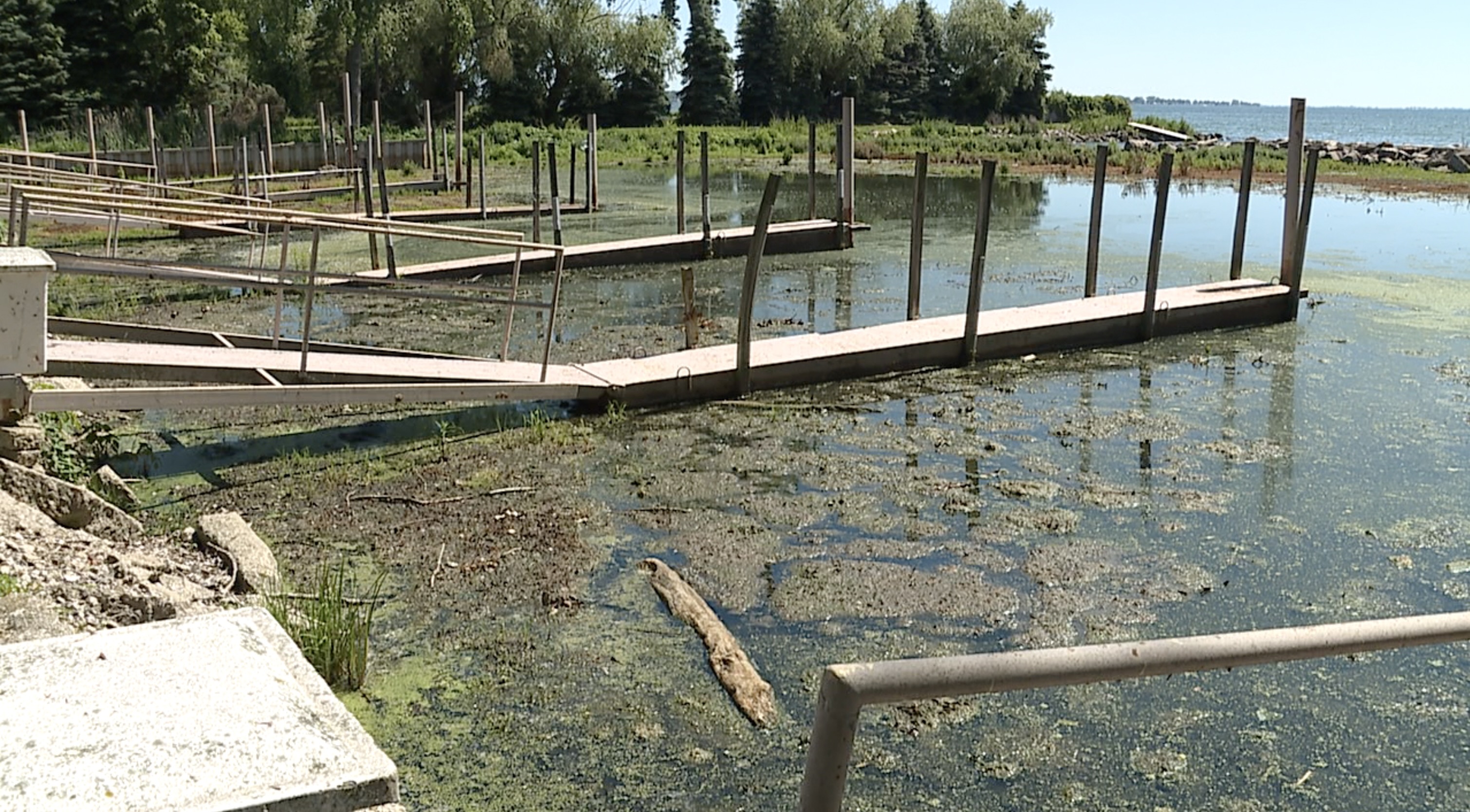 Submersible used to study alga causing muck along St. Clair Shore shoreline - Vimarsana News