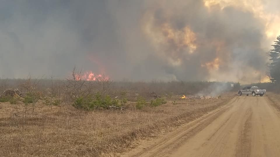 Brittle Fire 98% contained as of Friday: USDA - Vimarsana News