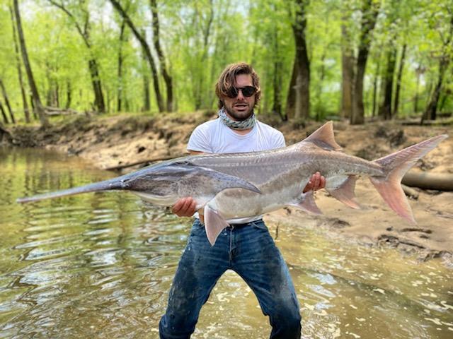 Man catches 'prehistoric' fish on Caney Fork River - Vimarsana News