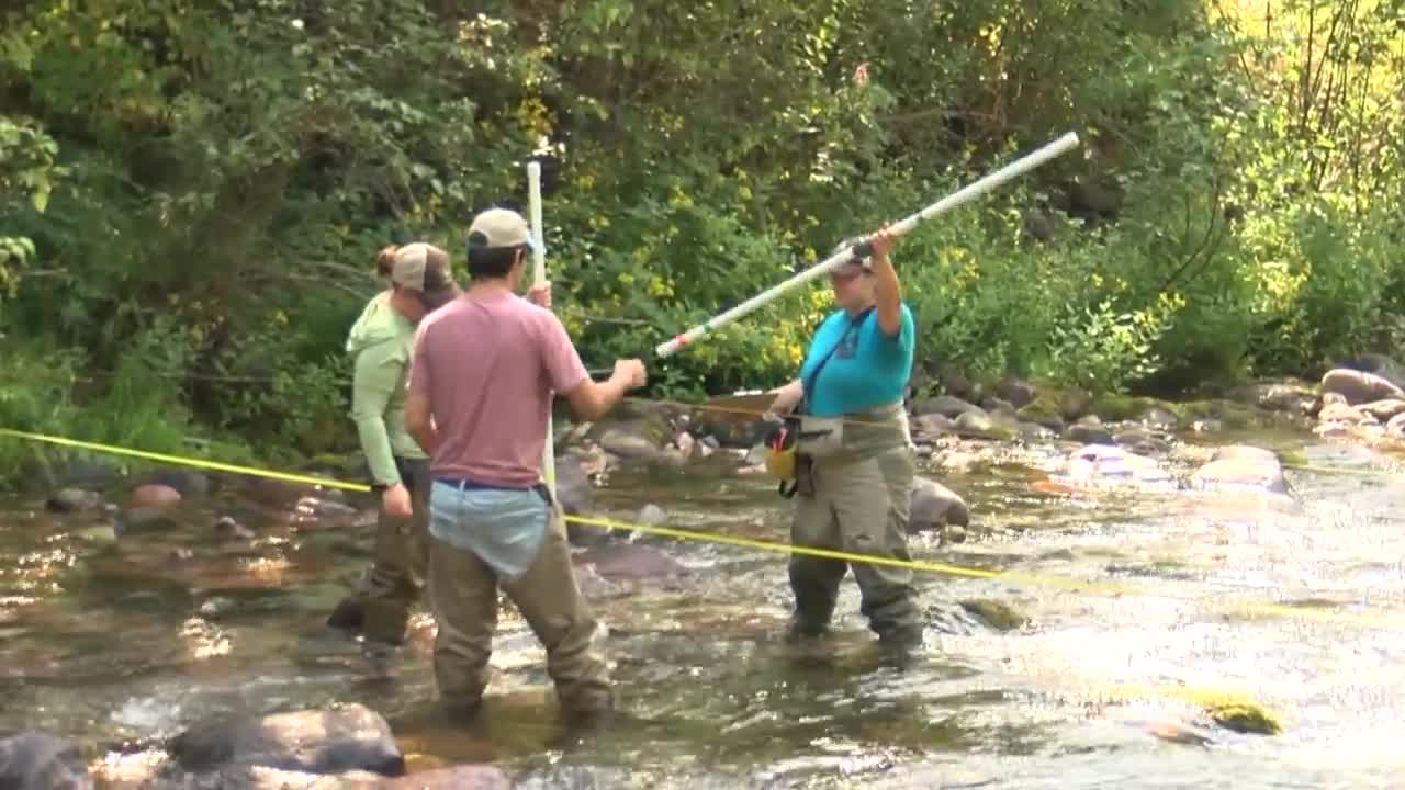 Missoula's Watershed Education Network seeking volunteers - Vimarsana News