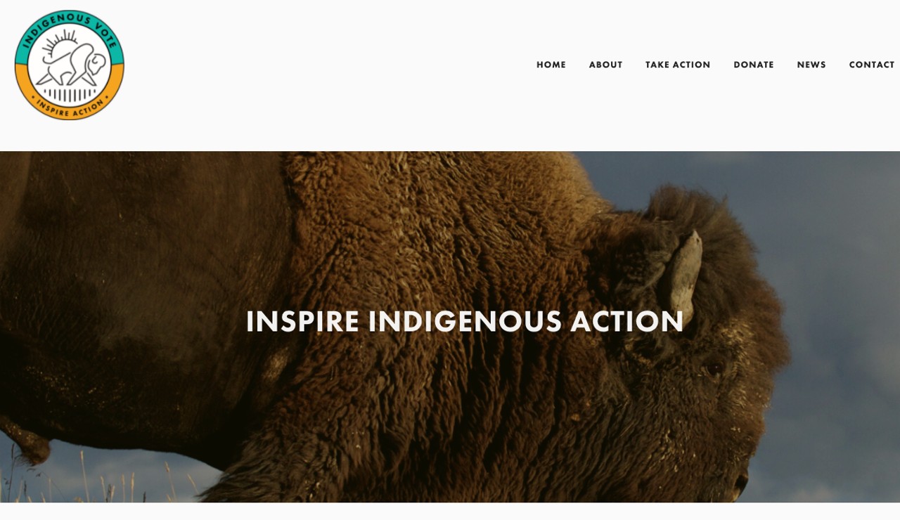 Montana-based Indigenous Vote seeking board member nominations - Vimarsana News