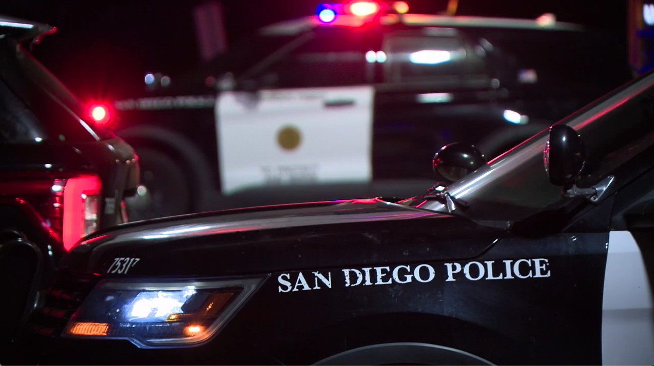 Two suspects arrested in transient's beating death in Gaslamp Quarter - Vimarsana News
