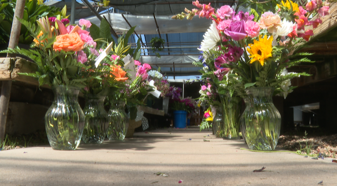 "The farms have cut down:" Local flower shops persevere amid nationwide shortage - Vimarsana News