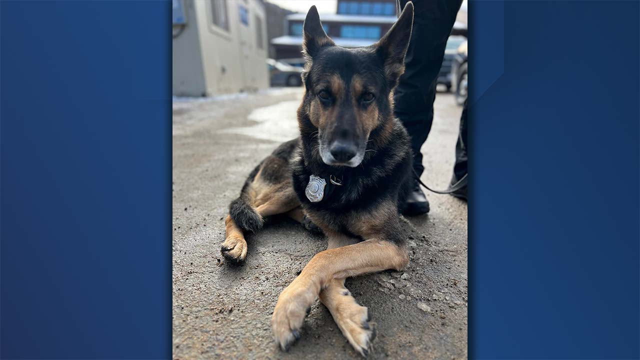 New York State Park Police announce the death of K9 Teo - Vimarsana News
