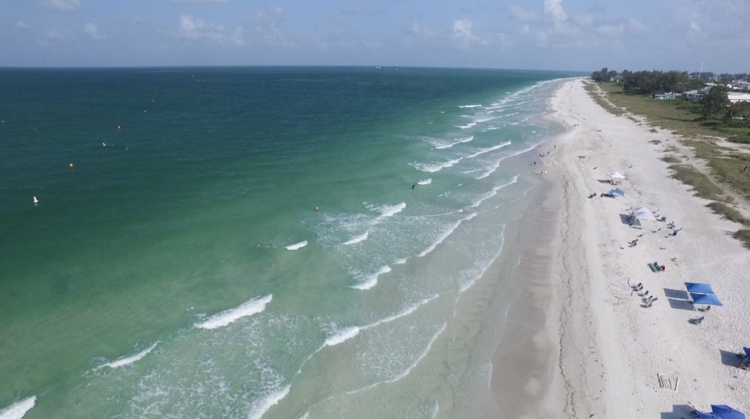 Anna Maria Island tourism thriving during pandemic rebound - Vimarsana News