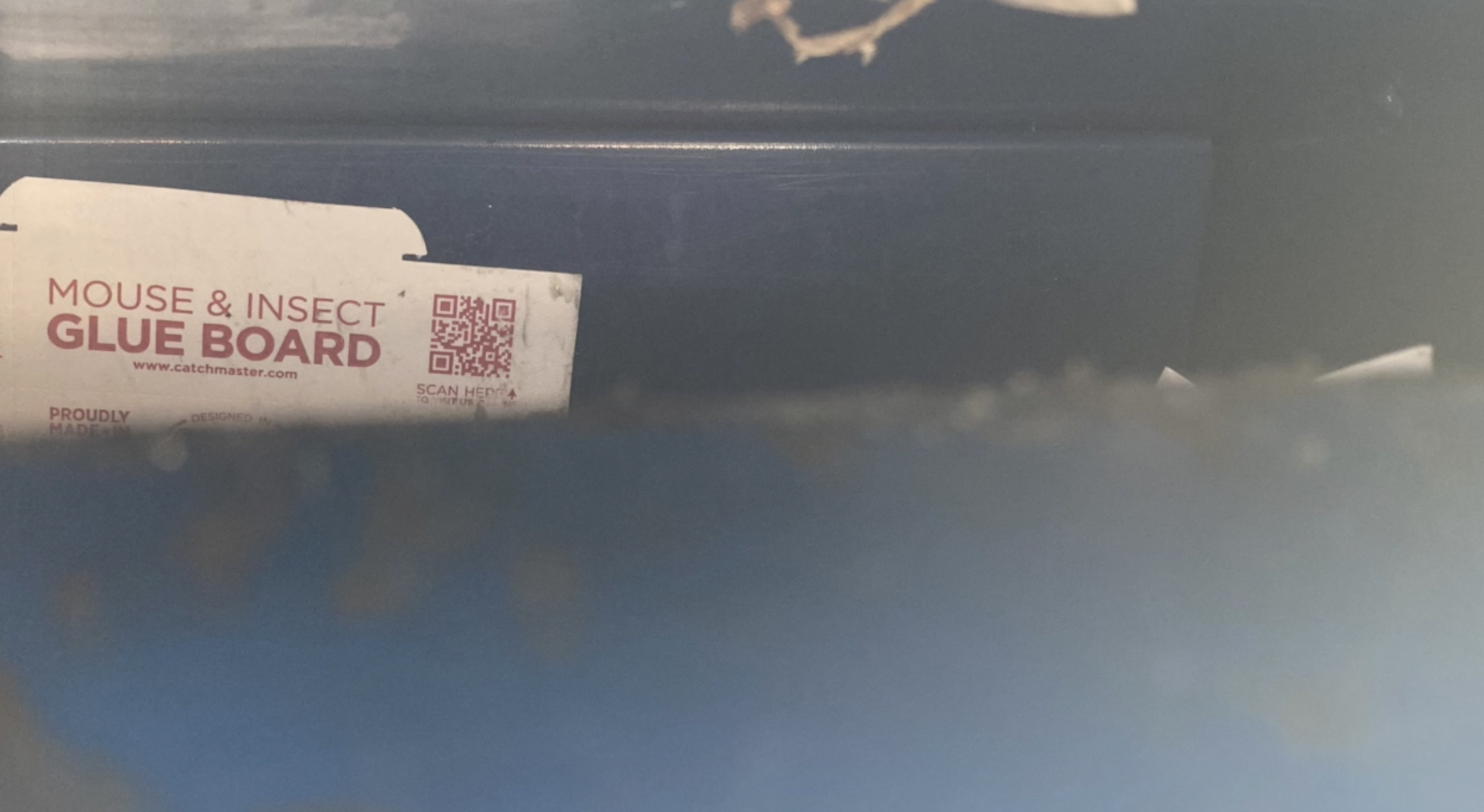 Glue trap found inside USPS collection box in Rancho San Diego - Vimarsana News