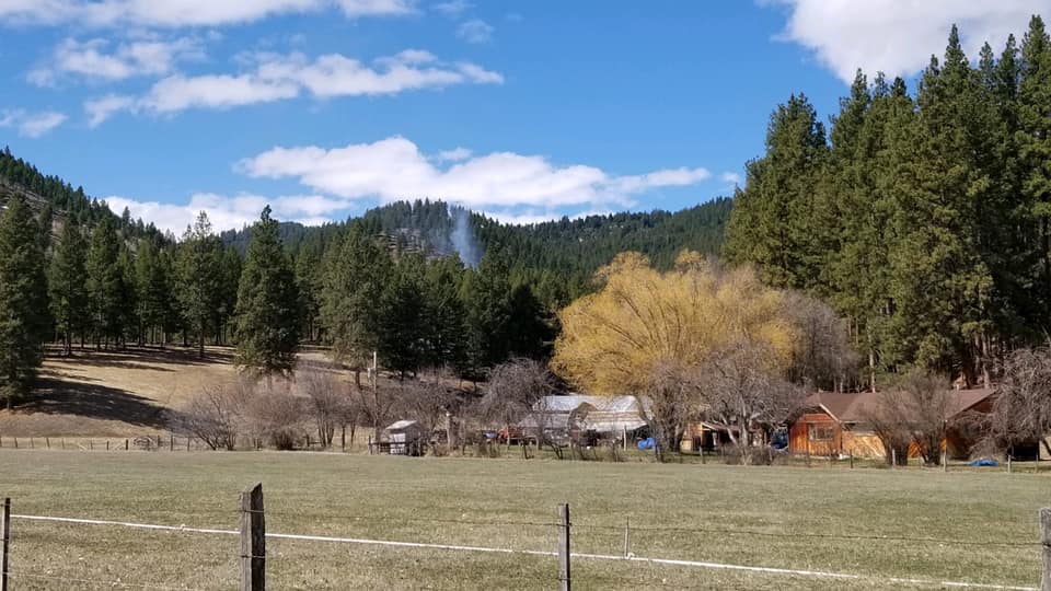 Bitterroot NF prescribed burns likely to produce visible smoke - Vimarsana News