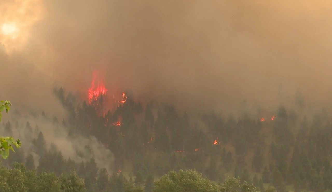Elmo Fire grows to over 16,226 acres; evacuations in place - Vimarsana News