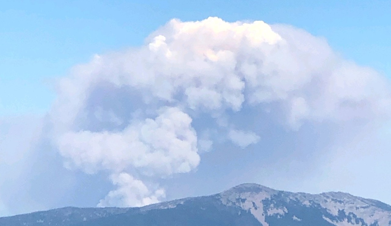UPDATE: Officials say electric fence sparked Garceau Fire - Vimarsana News