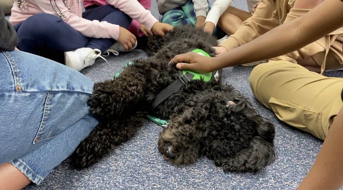 'Chief Happiness Advisor' introduced to local elementary school - Vimarsana News