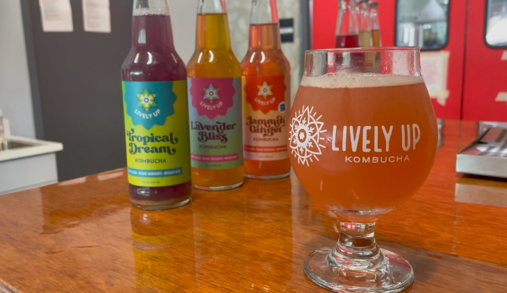 'Saved my life': Muskegon couple using kombucha company to promote wellness - Vimarsana News