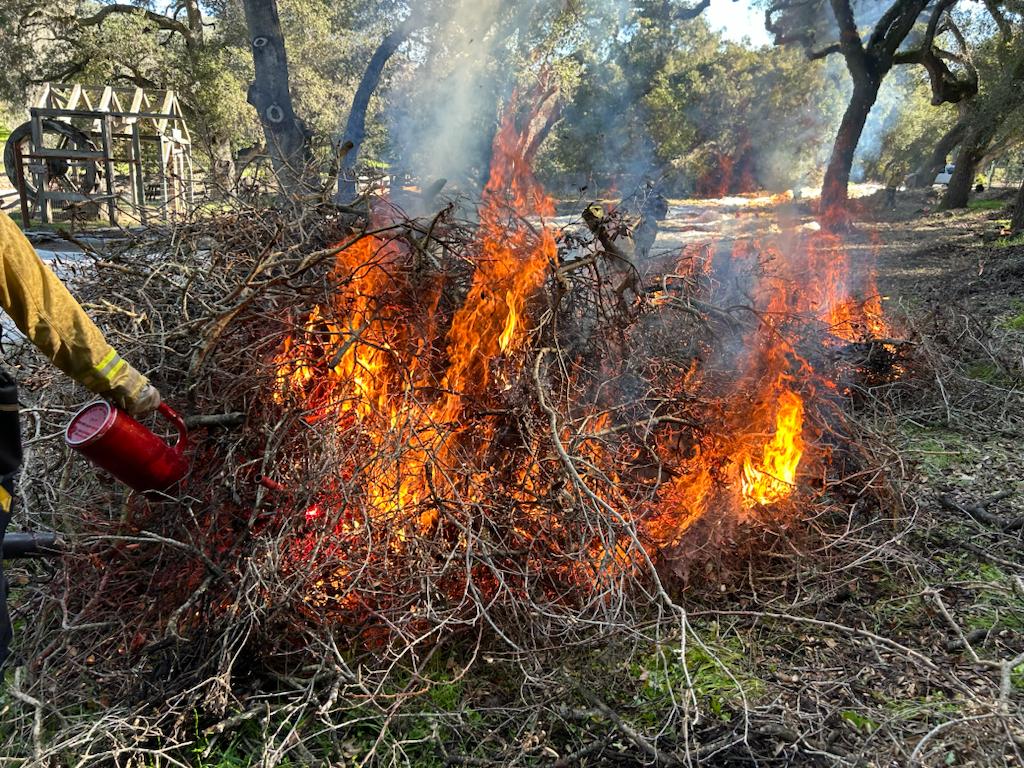 Pile burning slated to take place in San Luis Obispo County - Vimarsana News