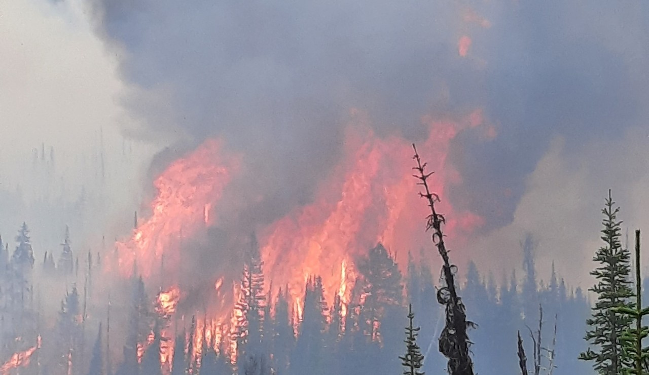 Weasel Fire burning in Lincoln County grows to 1,100 acres - Vimarsana News