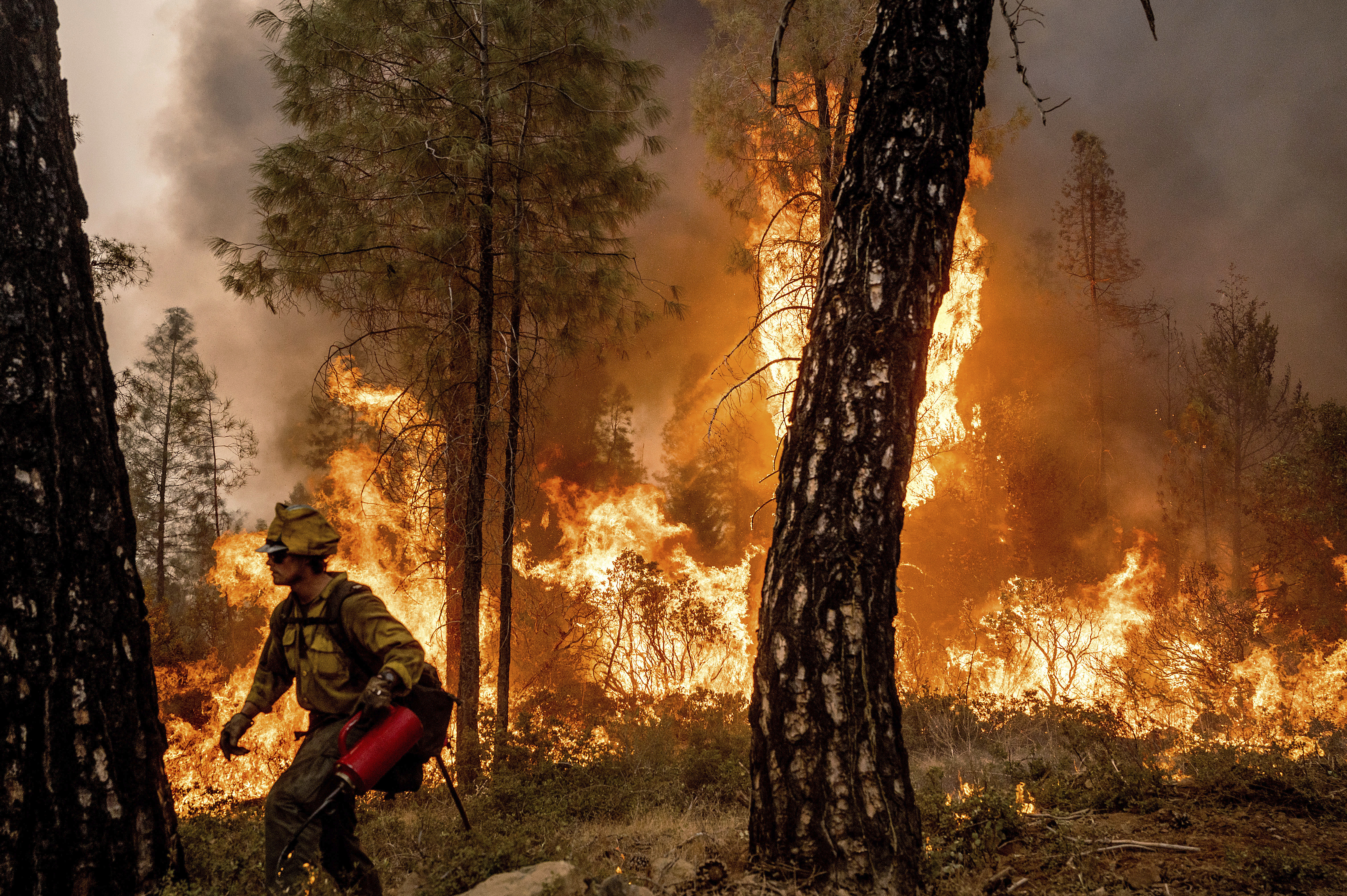 Weather helping, but threat from Western fires persists - Vimarsana News