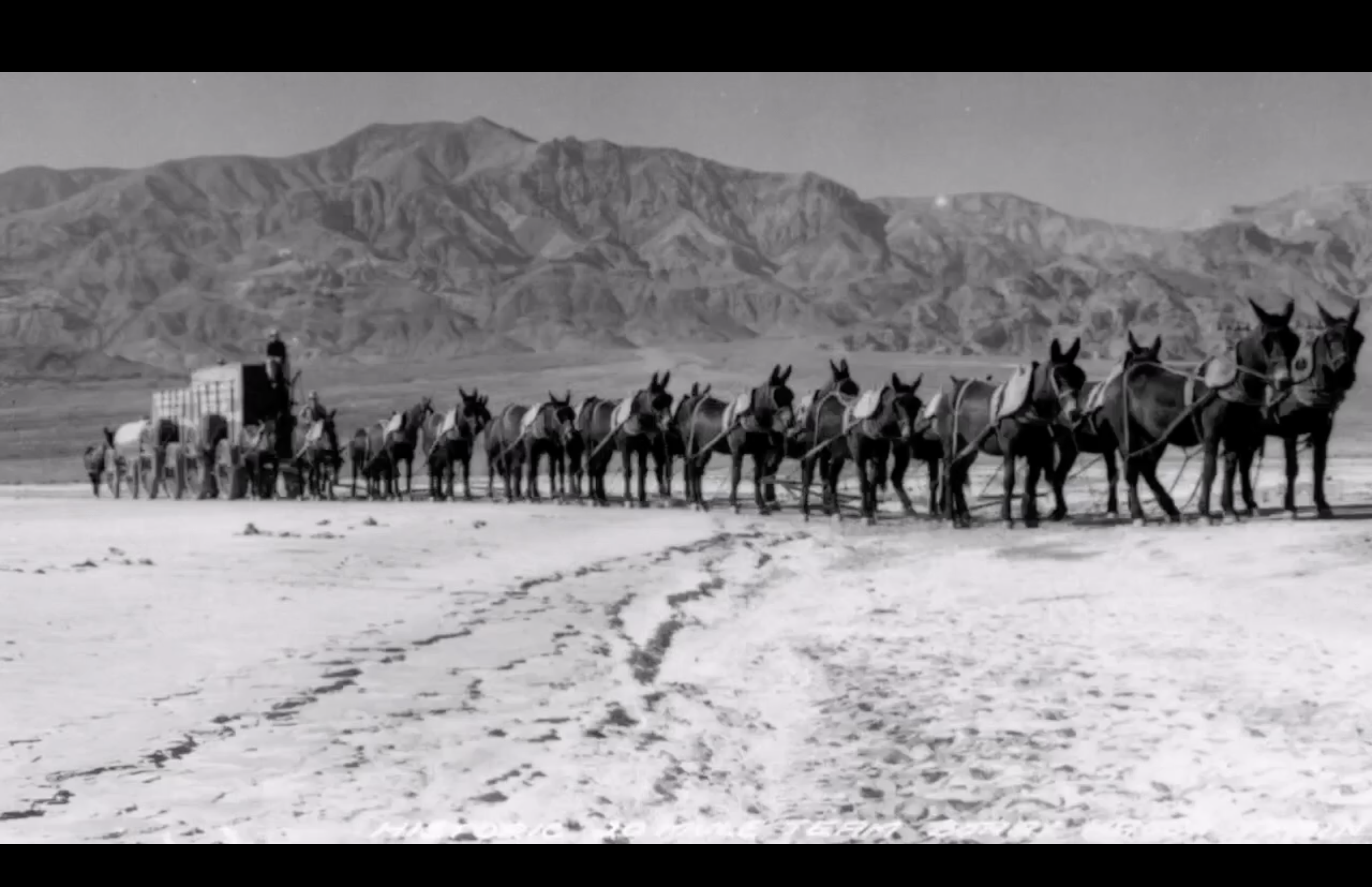 Borax mining, 20 Mule Team history featured in Bakersfield - Vimarsana News