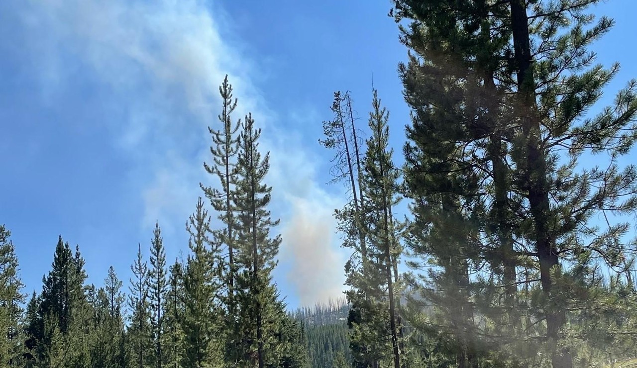 Hog Trough Fire grows to 771 acres - Vimarsana News
