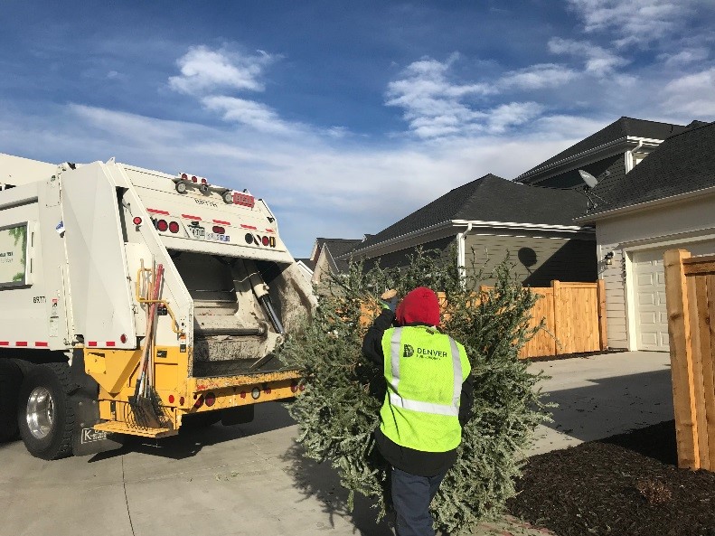 Where to recycle your live Christmas tree around Denver - Vimarsana News