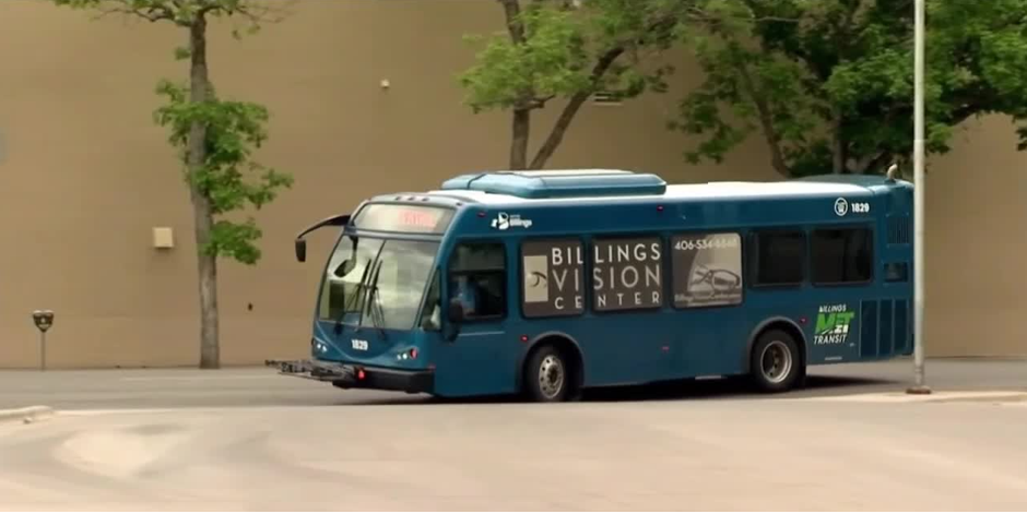 New Google Maps feature makes riding city buses easier - Vimarsana News