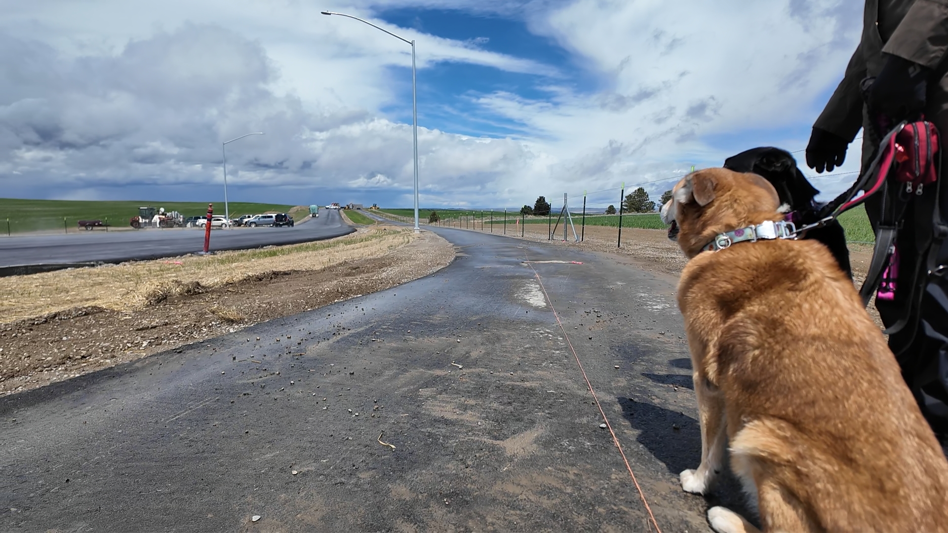 Billings Inner Belt Loop road and trail set to open in June - Vimarsana News