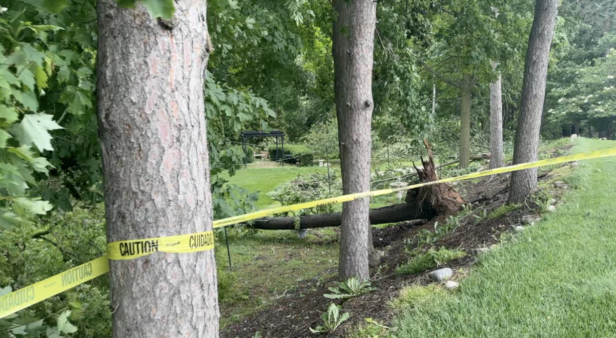 Beloved Barry County greenhouse garden hit by storm - Vimarsana News