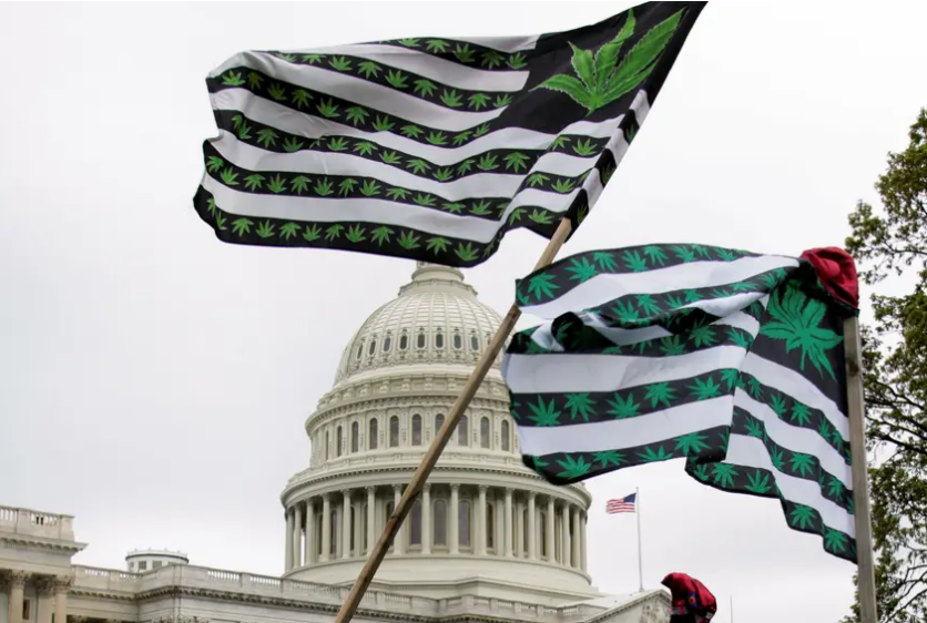 Oklahomans head to polls for one issue: legal marijuana - Vimarsana News