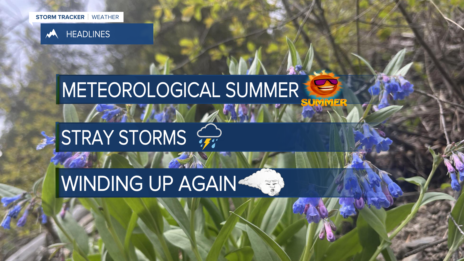 June & Meteorological Summer Begin - Vimarsana News