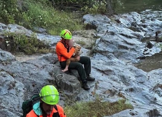 3-year-old abducted in California found uninjured in steep canyon, officials say - Vimarsana News