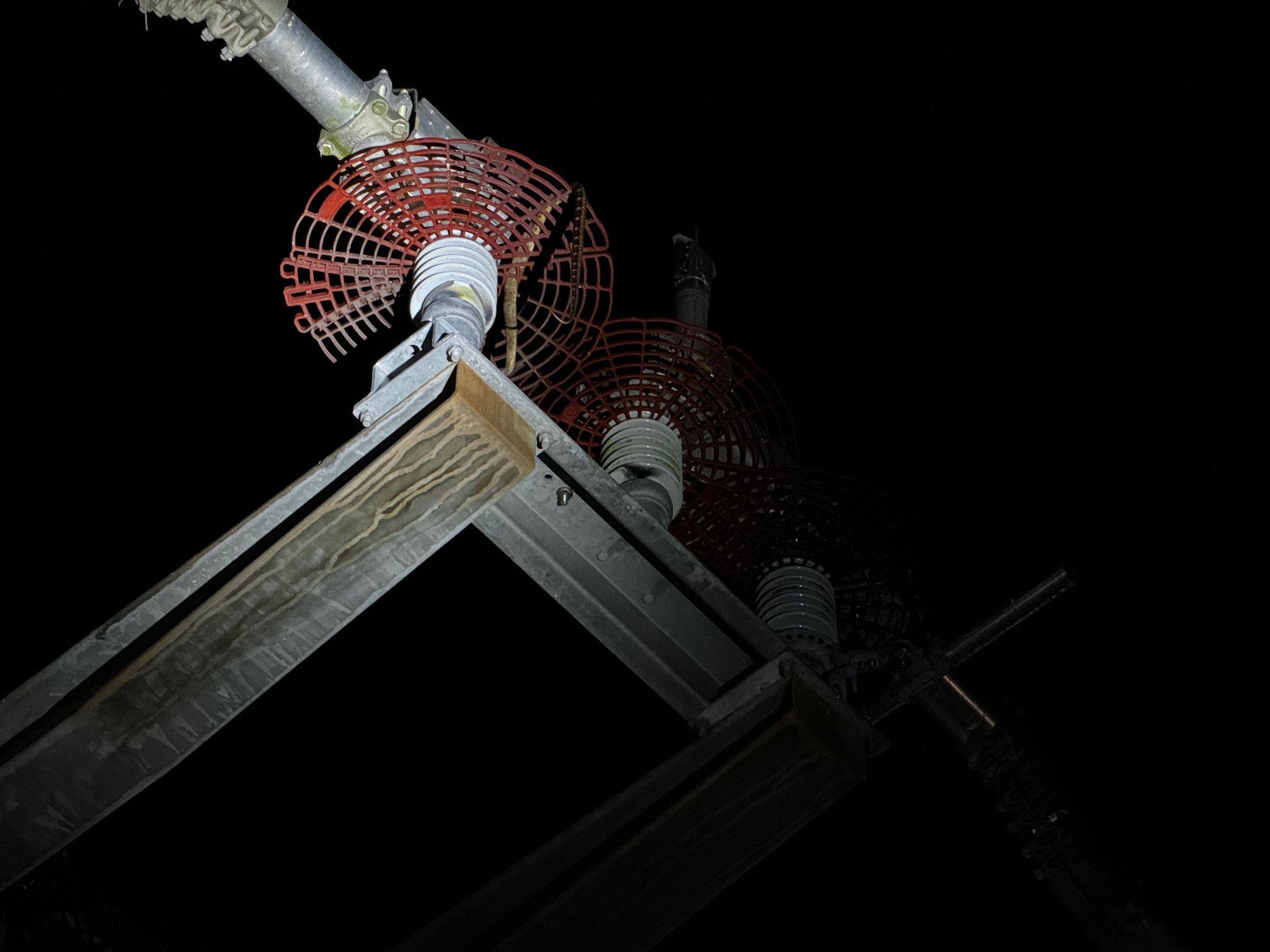 Snakes cause unusual power outages in Franklin - Vimarsana News