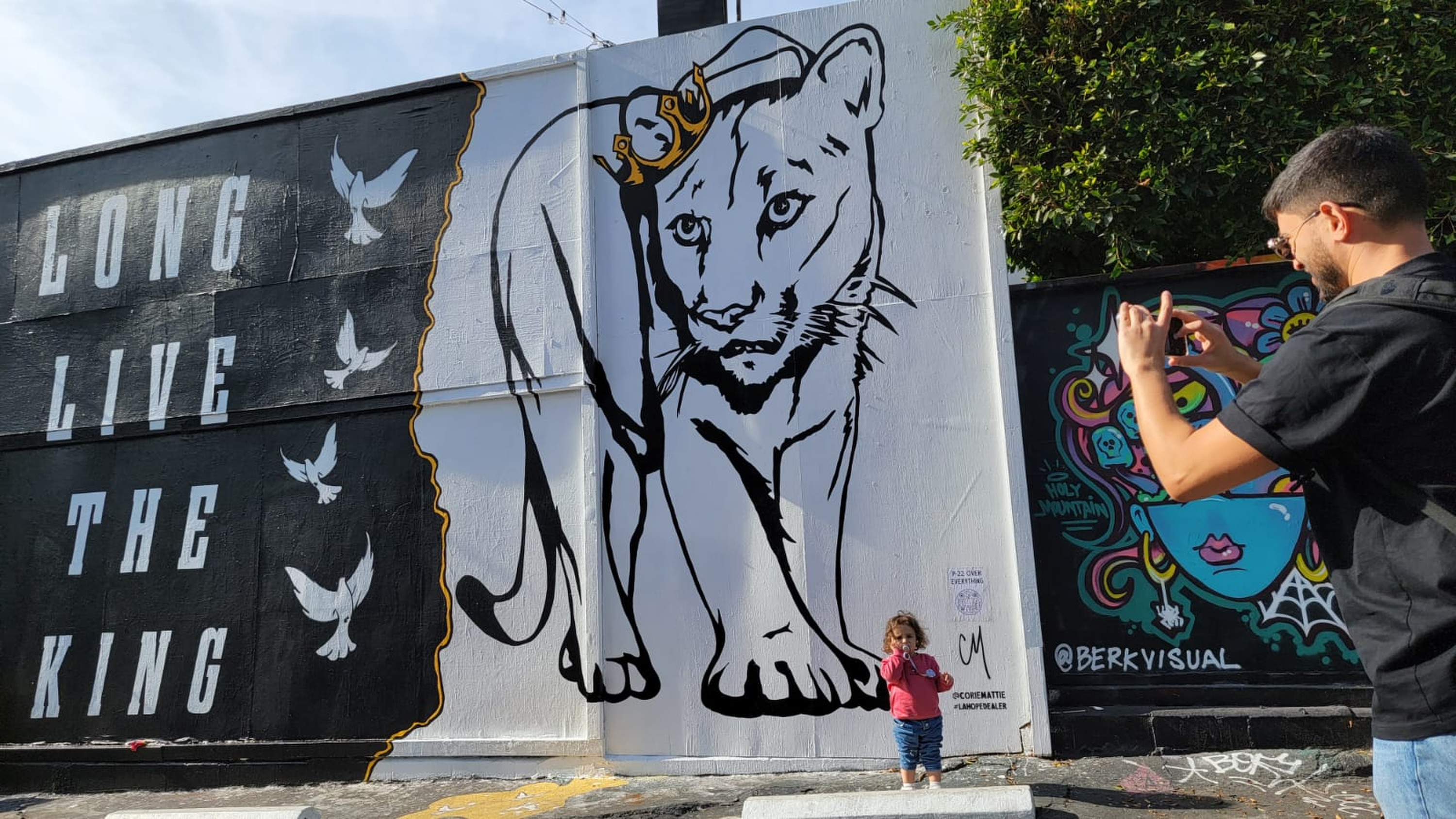 New mural painted in memory of LA's famed mountain lion - Vimarsana News