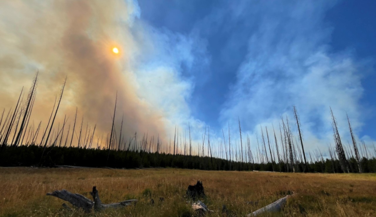 Trail Ridge Fire grows to 12,500 acres; public meeting planned - Vimarsana News