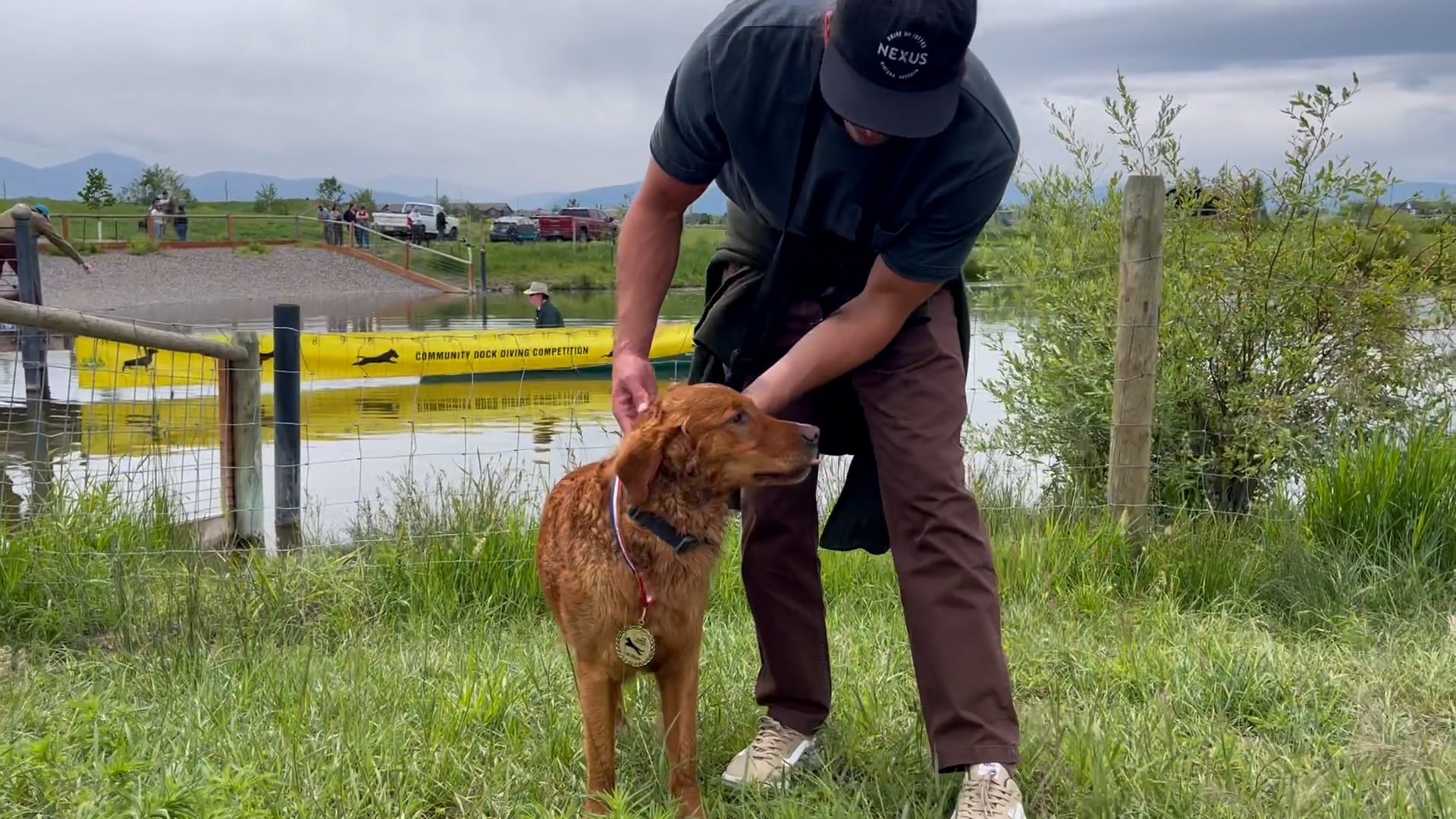 Check it out: Dogs take dive at Anderson Dog Park - Vimarsana News