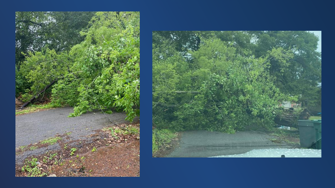Homeowners in Jennings are hopeful neighborhoods will be free of branches. - Vimarsana News
