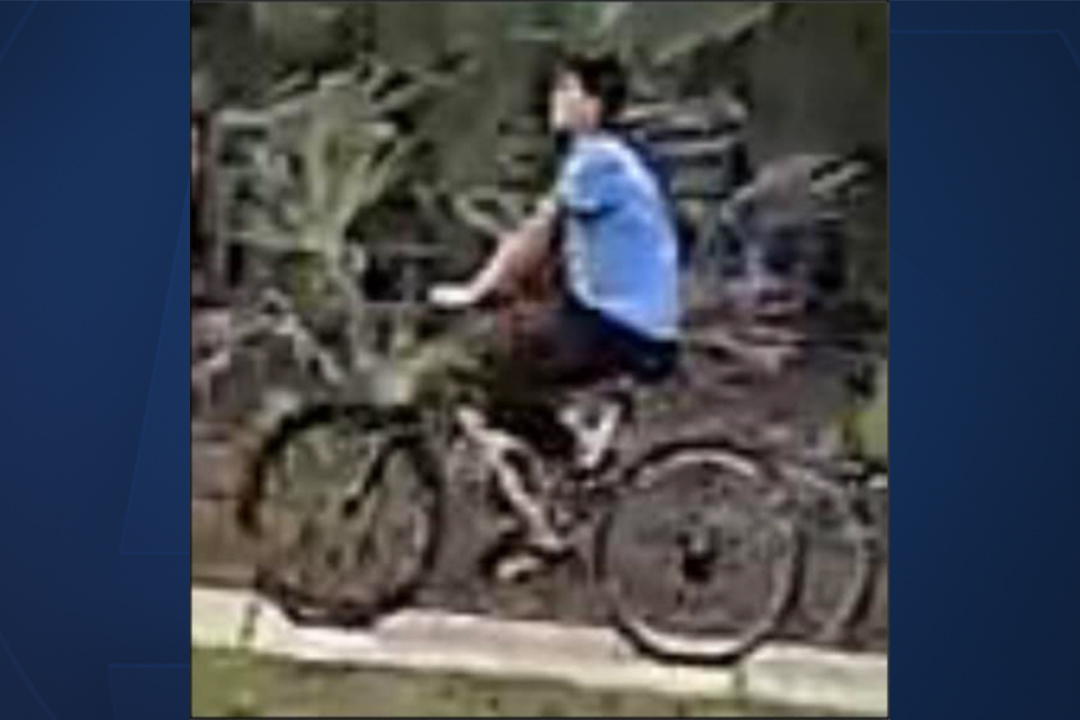 Suspicious incident: Man followed 12-year-old girl, touched her hair, police say - Vimarsana News