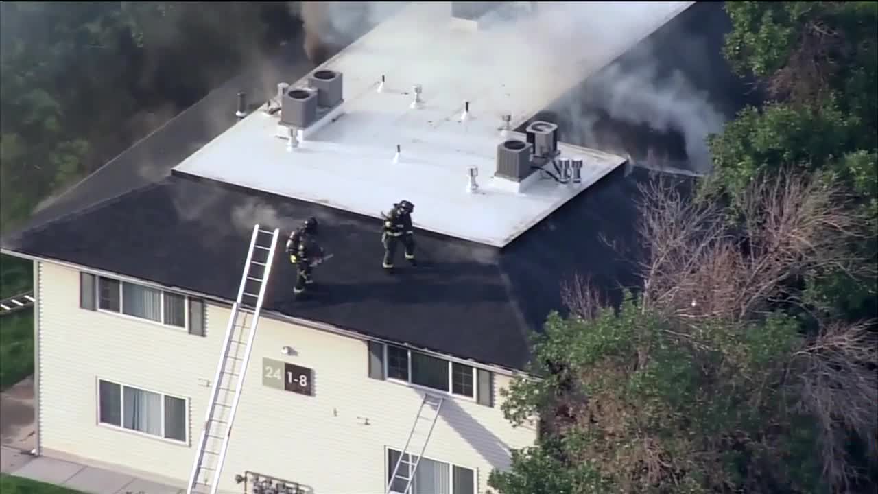 Dogs rescued from Aurora apartment fire - Vimarsana News
