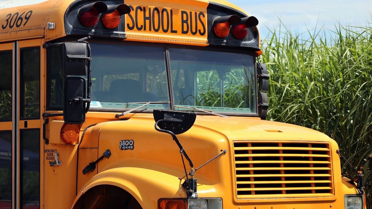 Who to call with questions about your child's school bus in the Tampa Bay area - Vimarsana News