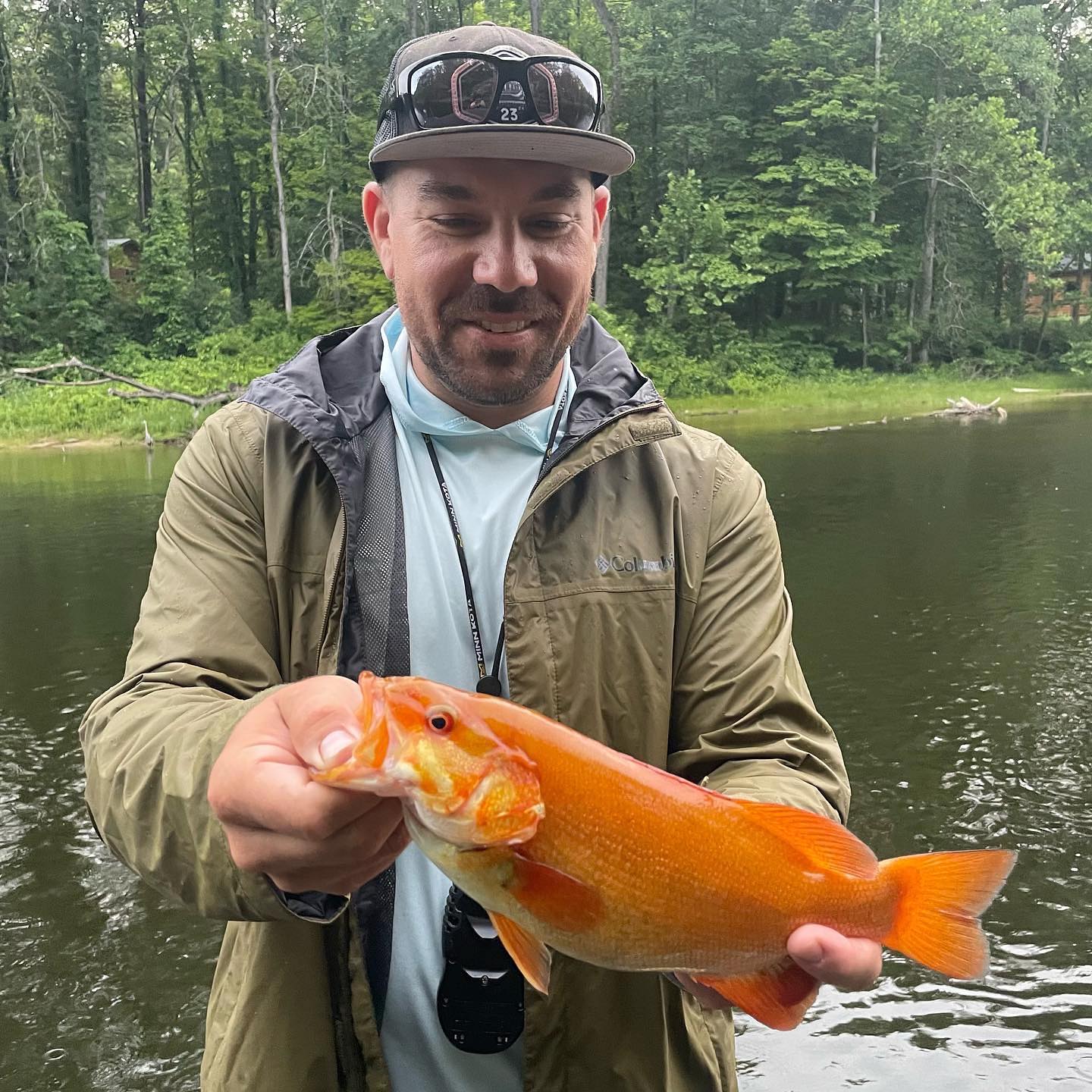 Vibrant orange smallmouth bass pulled from Muskegon River - Vimarsana News