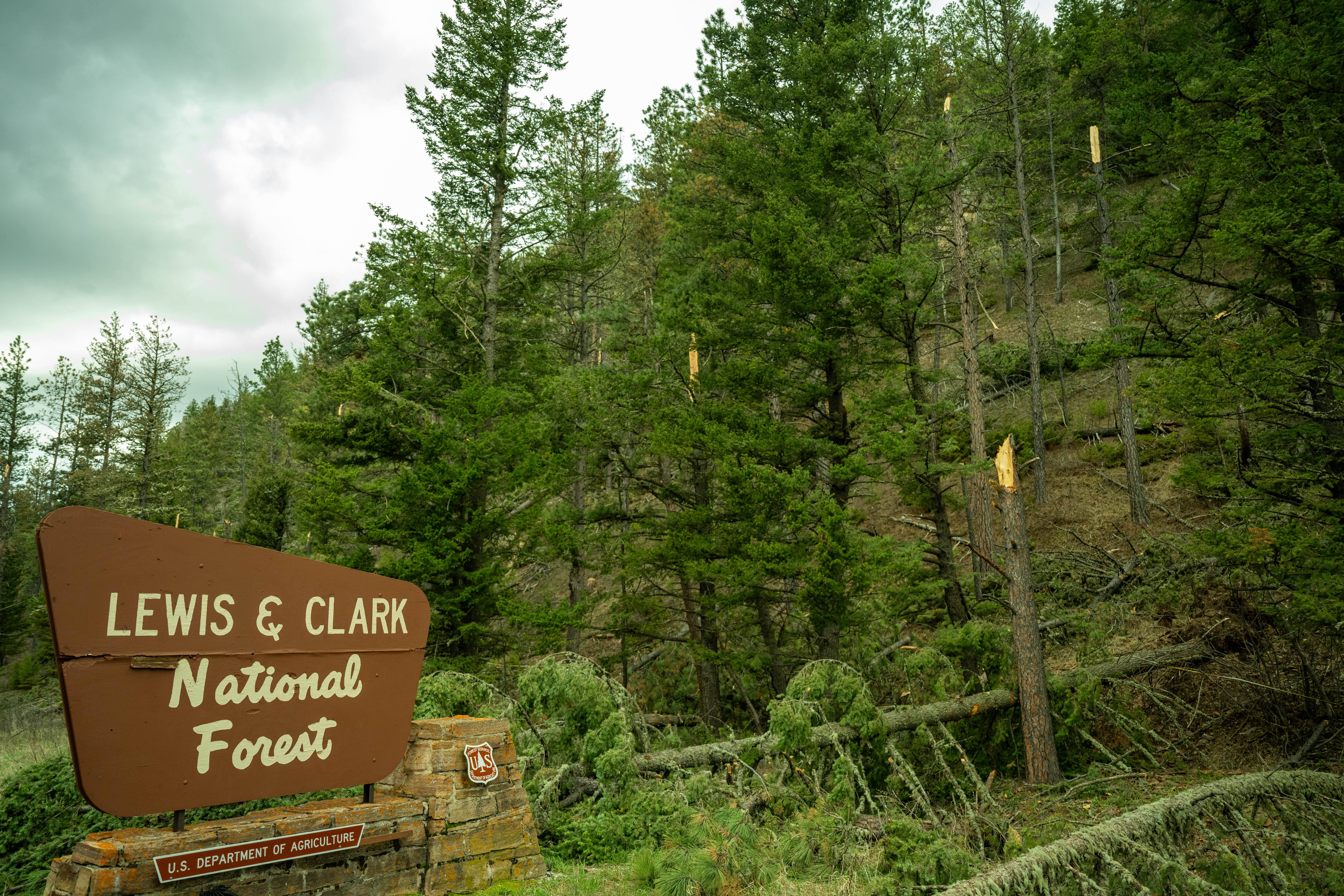 Storm damage clean-up continues in Monarch and Neihart - Vimarsana News