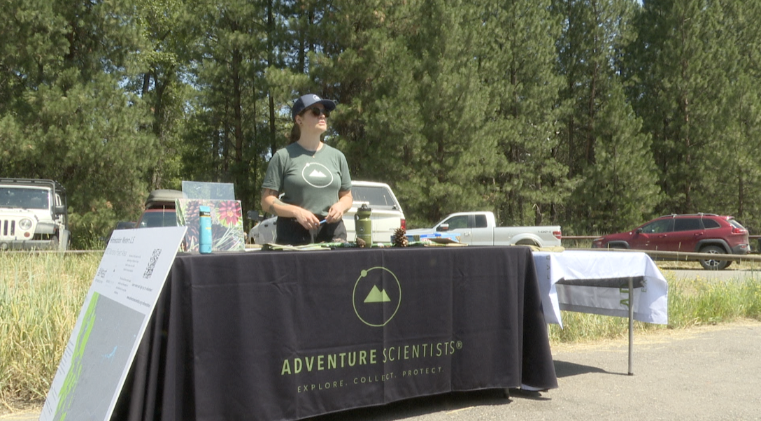 Adventure Scientists hosts Missoula pine cone hunt - Vimarsana News