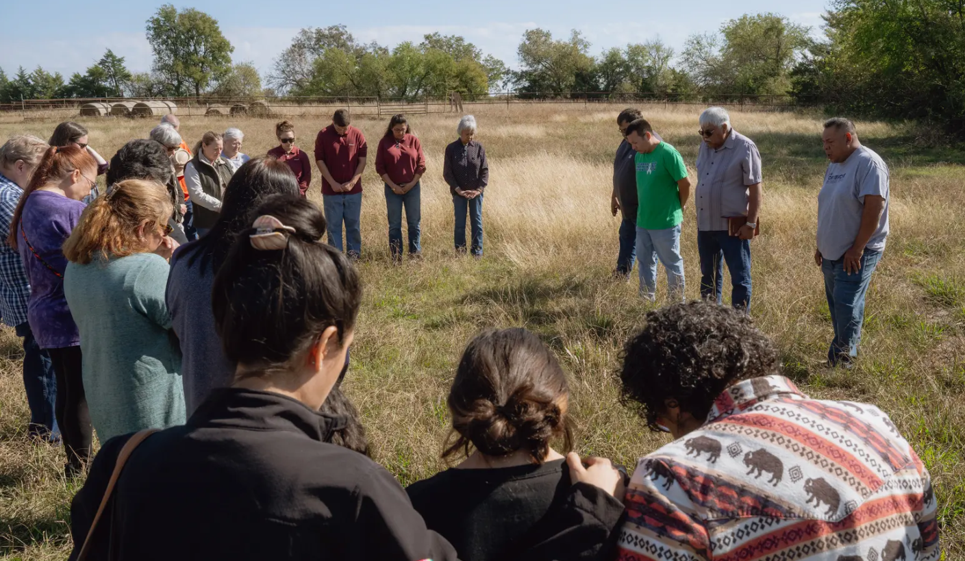 Bison return to Texas Indigenous lands, reconnecting tribes to their roots - Vimarsana News