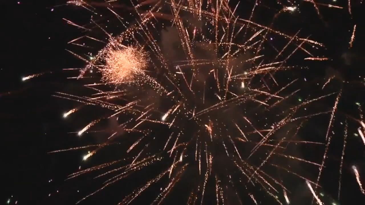 Veterans, pets at risk for loud noises during 4th of July - Vimarsana News