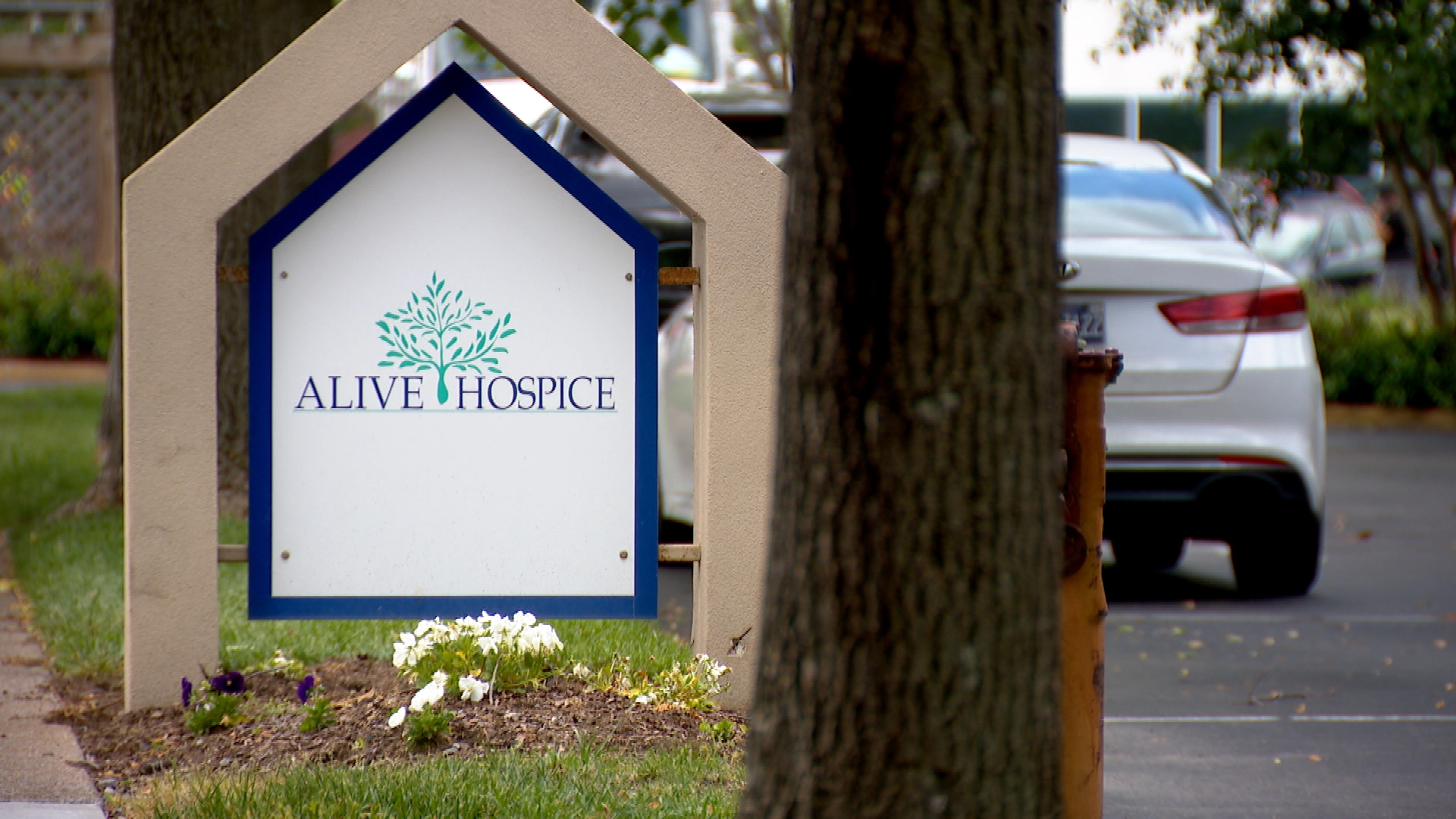 Alive Hospice CEO to step down after the nonprofit faced for-profit threat - Vimarsana News
