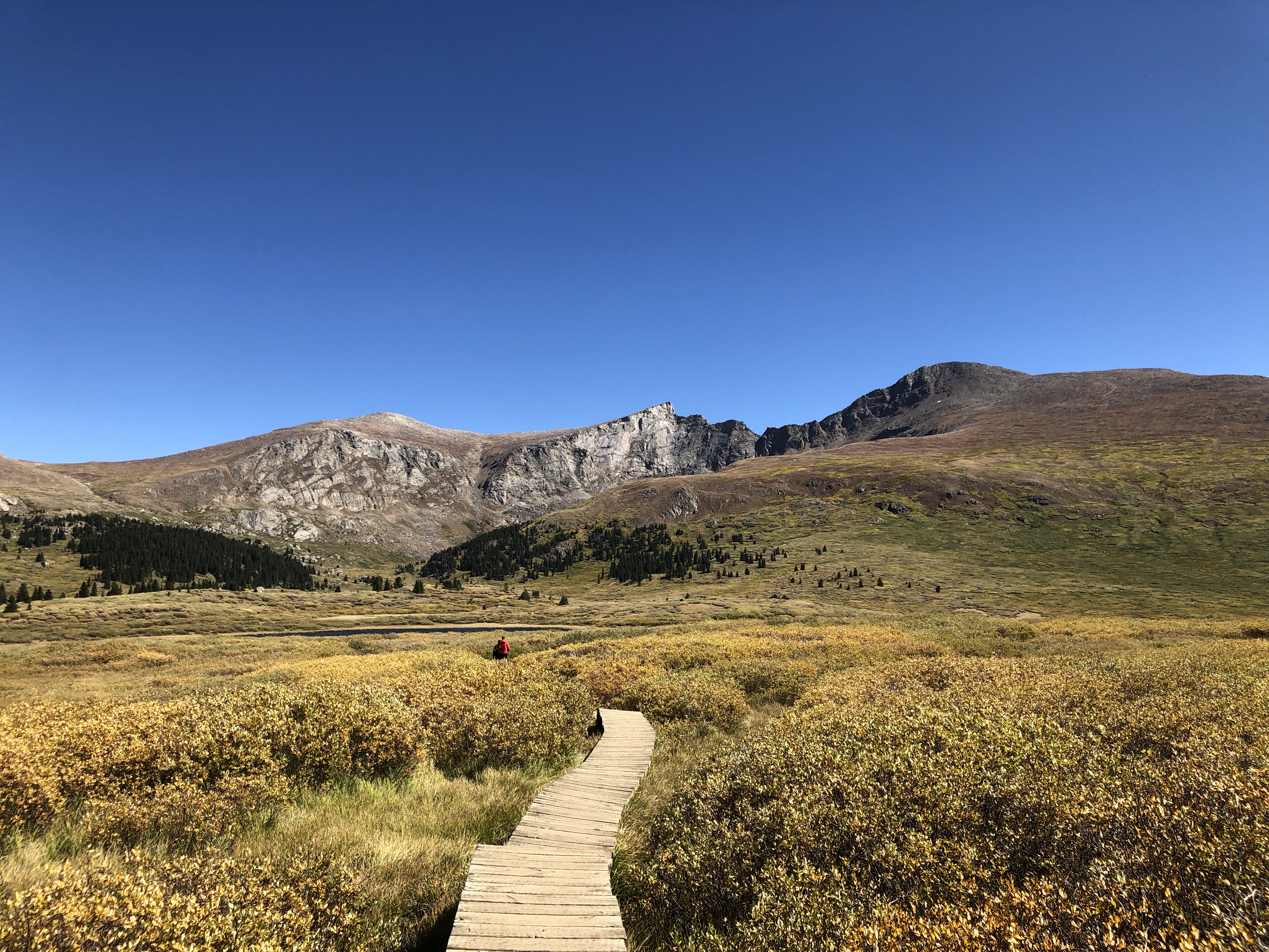 Fewer people climbed Colorado's 14ers in 2021, report shows - Vimarsana News