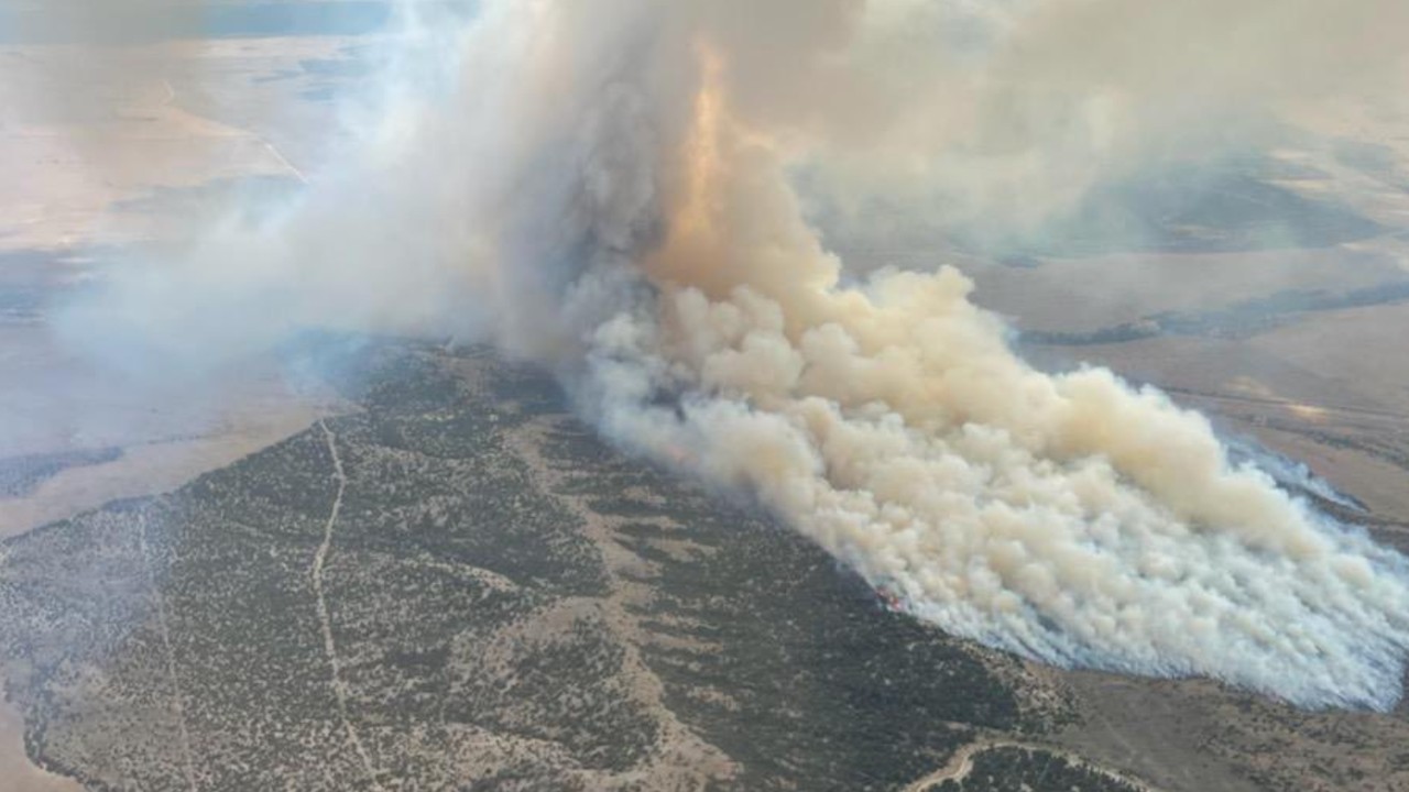 New Black Pine Fire consumes up to 200 acres - Vimarsana News