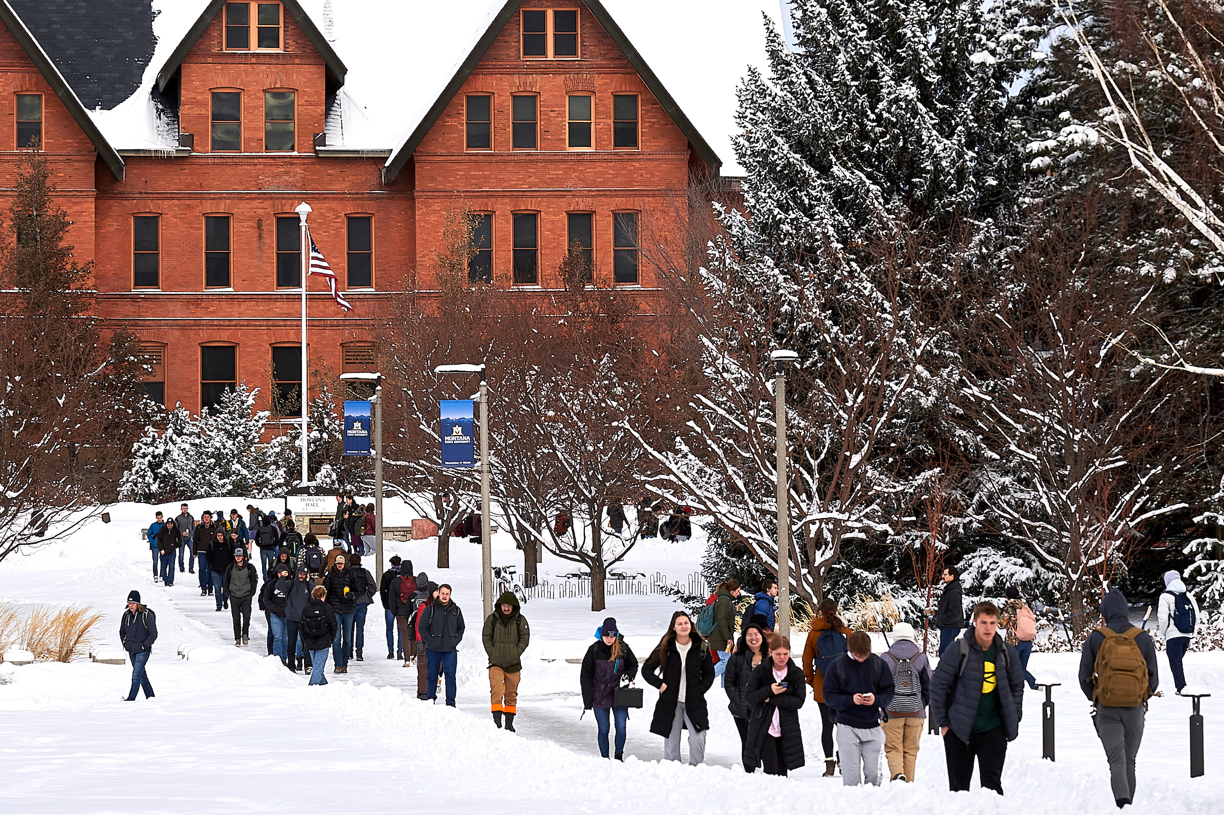 Montana State University spring enrollment sets all-time record - Vimarsana News