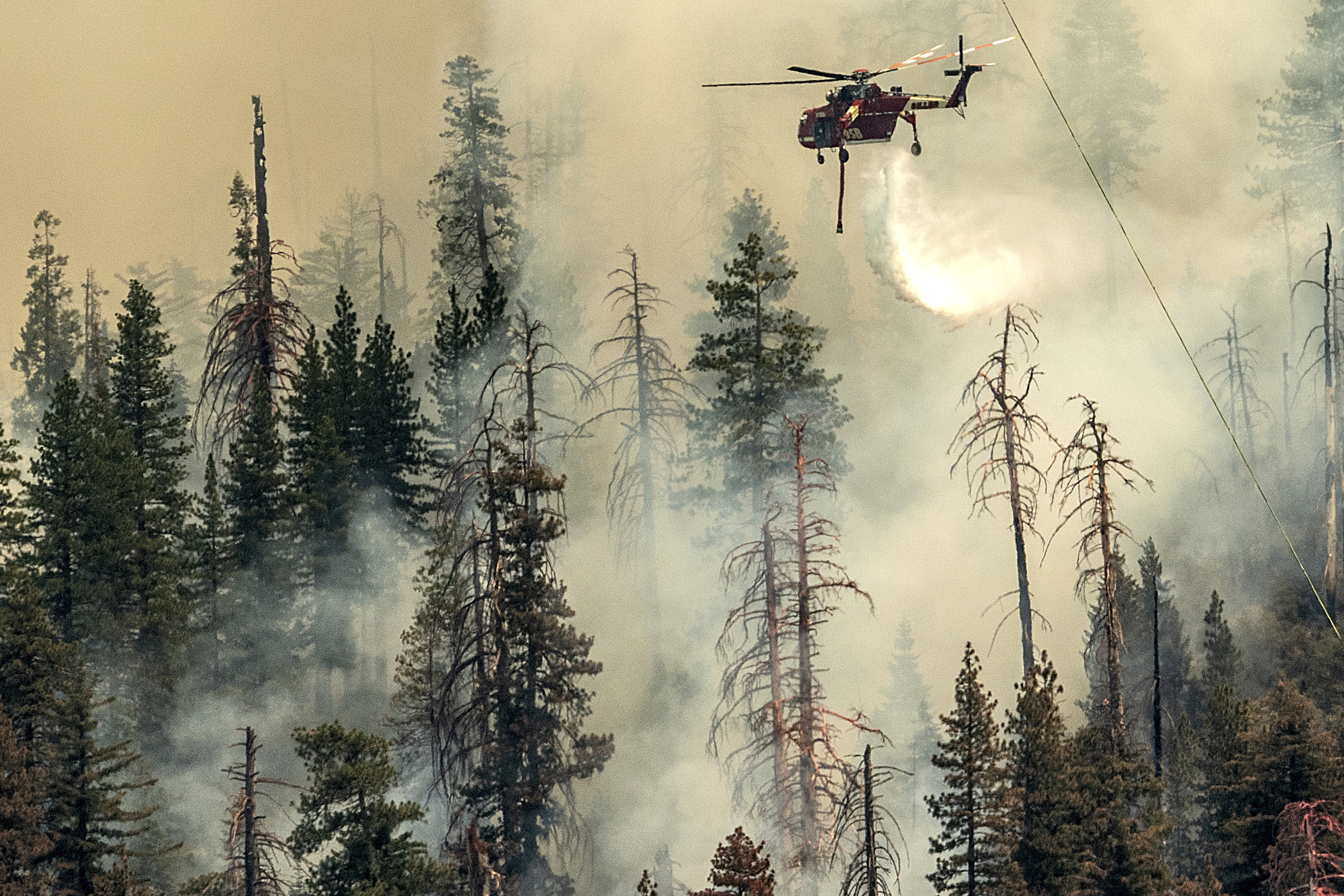 Yosemite wildfire threatens grove of iconic sequoia trees - Vimarsana News