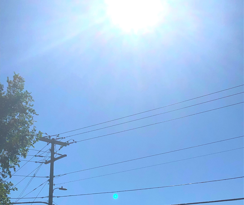ERCOT declares there will be enough power to meet demands this summer - Vimarsana News