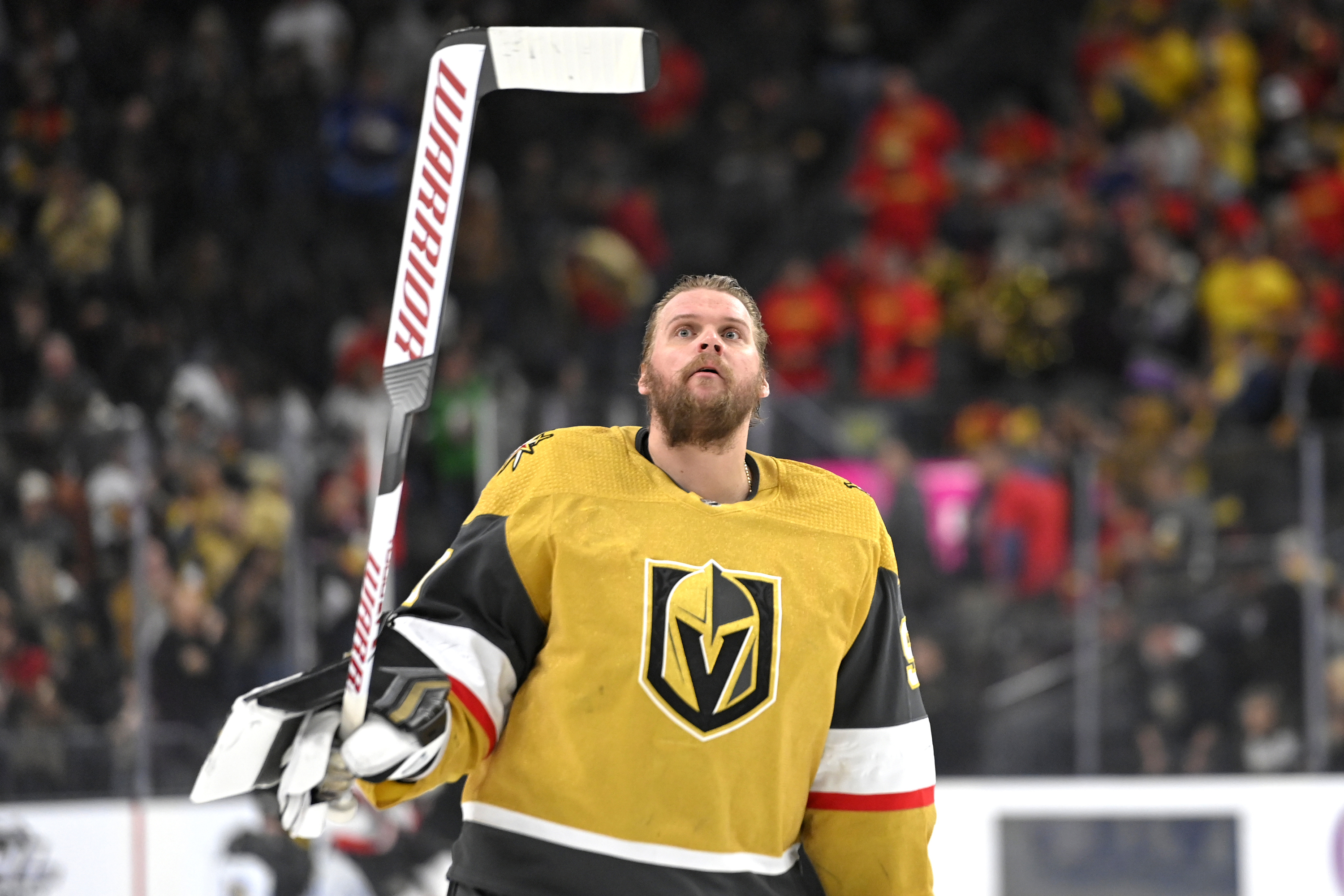 Vegas goalie Lehner files for bankruptcy, cites $50M debt - Vimarsana News